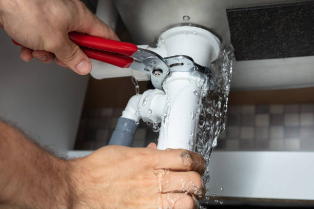 Best Mold removal after water damage  in Tladega, AL