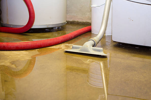Best Residential water damage restoration  in Tladega, AL