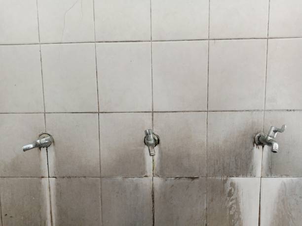 Best Ceiling water damage repair  in Tladega, AL