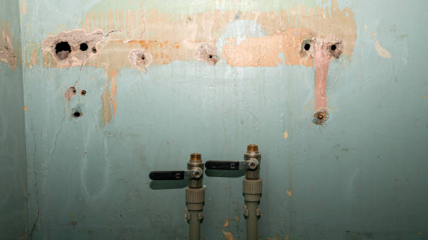 Best Carpet water damage restoration  in Tladega, AL
