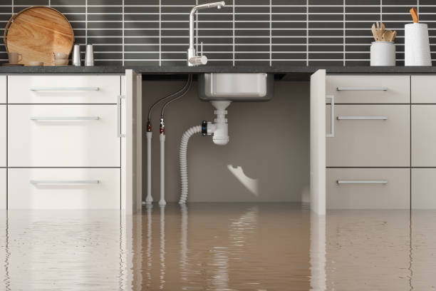  Tladega, AL Water damage restoration Pros