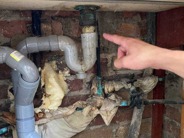 Best Flood damage cleanup  in Tladega, AL