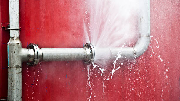 Best Ceiling water damage repair  in Tladega, AL